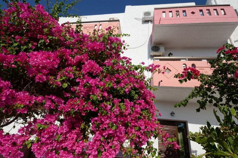 Apokoros Craft Deco Apartments&Studios Kalyves Exterior foto